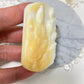 Tridacninae 天然觀音硨磲吊飾