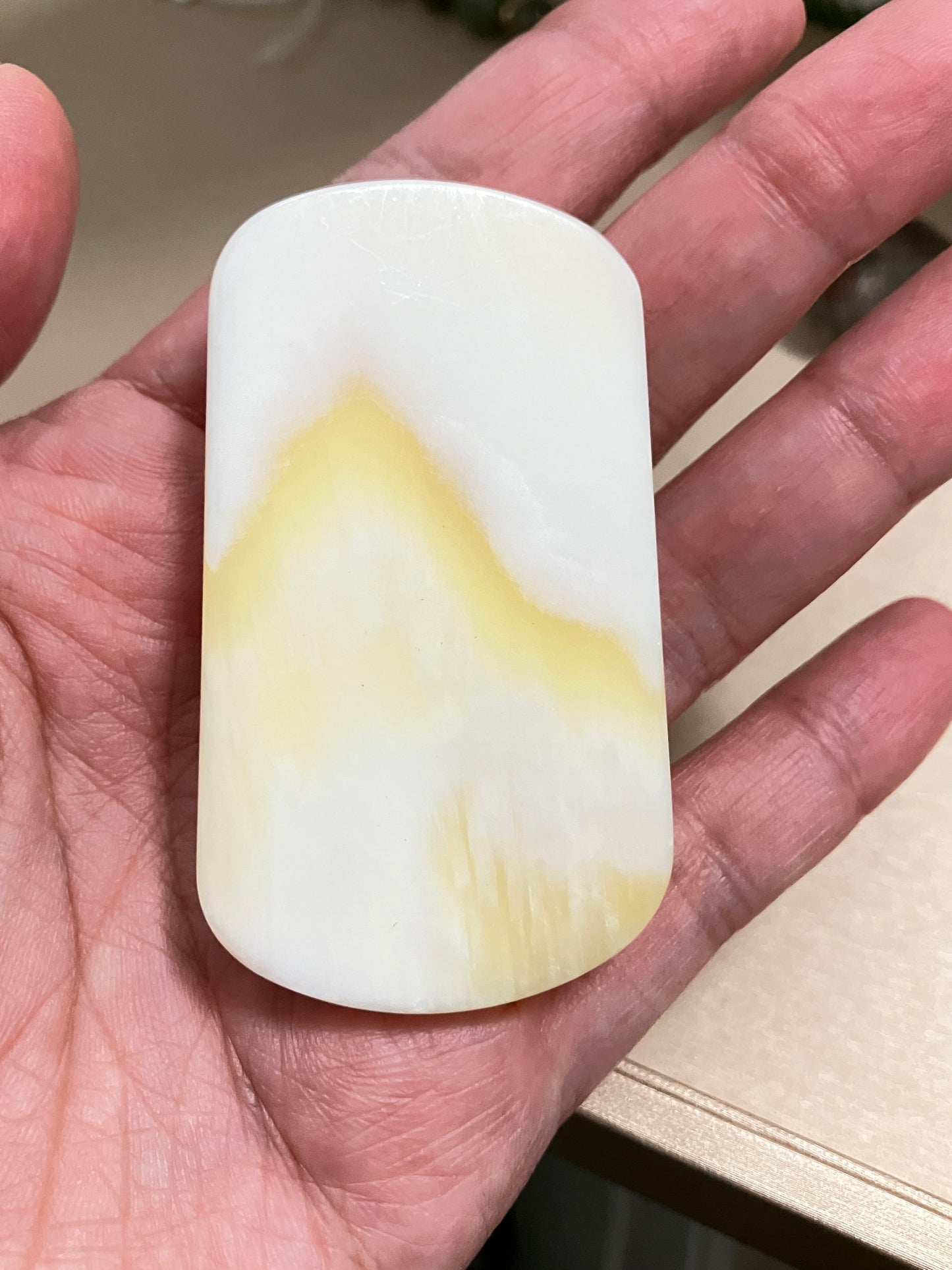 Tridacninae 天然觀音硨磲吊飾