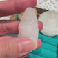Tridacninae 天然硨磲吊飾